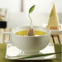 CEASCA SI FARFURIOARA SOLSTICE