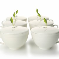 CAFE CUPS - SET OF SIX
