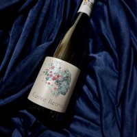 Cos cadou - Holly Jolly