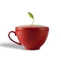 Cos cadou - Infuse the Joy