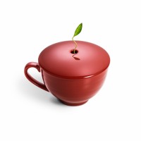 Cos cadou - Infuse the Joy